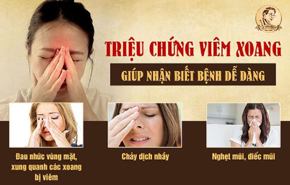 Cách chữa viêm xoang bằng lá lốt