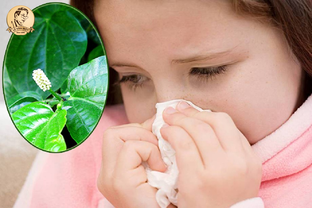 Cách chữa viêm xoang bằng lá lốt