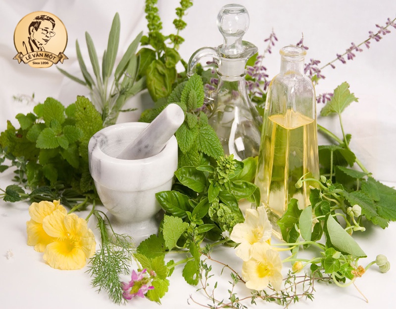 Dầu gội đầu bằng thảo dược