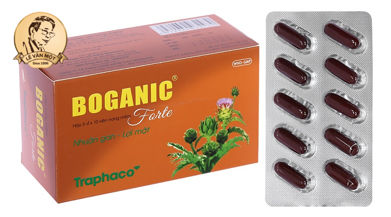 Thuốc bổ gan giải độc gan tốt nhất Thuốc bổ gan giải độc gan tốt nhất