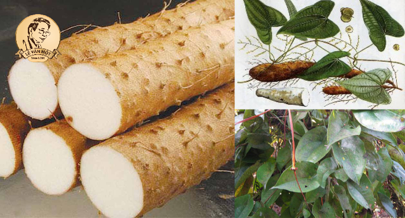 Bài thuốc trị rụng tóc