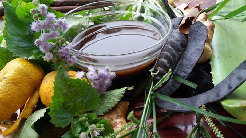 Bài thuốc trị rụng tóc