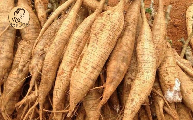 Chữa viêm mũi dị ứng bằng đông y