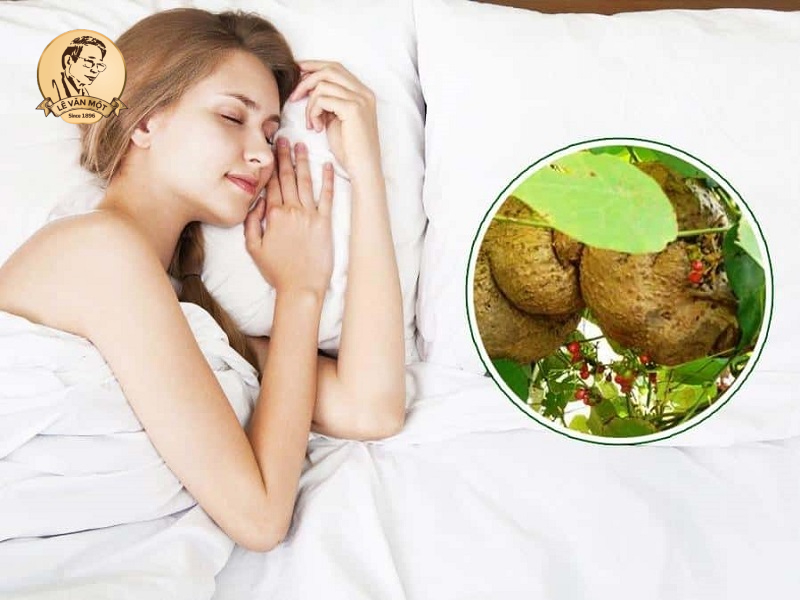 Củ bình vôi chữa được bệnh gì