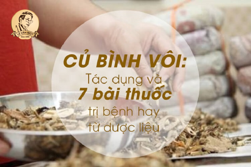 Củ bình vôi chữa được bệnh gì