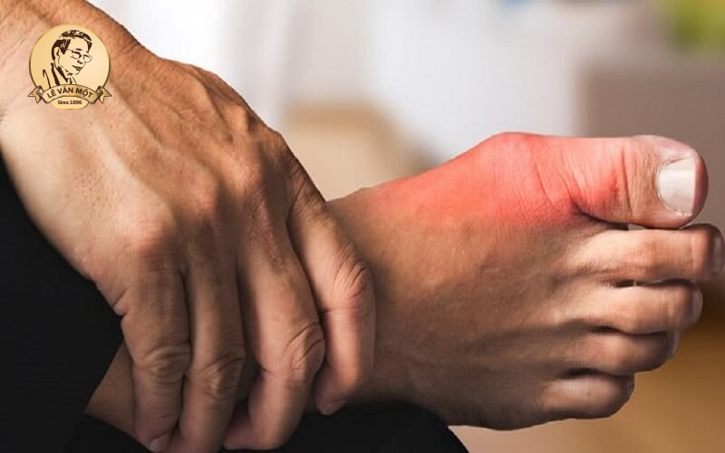 Đông trùng hạ thảo với bệnh gout