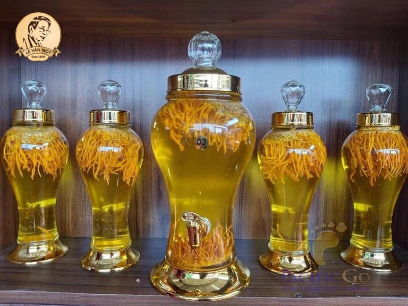 Đông trùng hạ thảo với bệnh gout