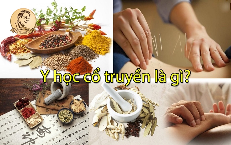 Nghành y học cổ truyền là gì Nghành y học cổ truyền là gì