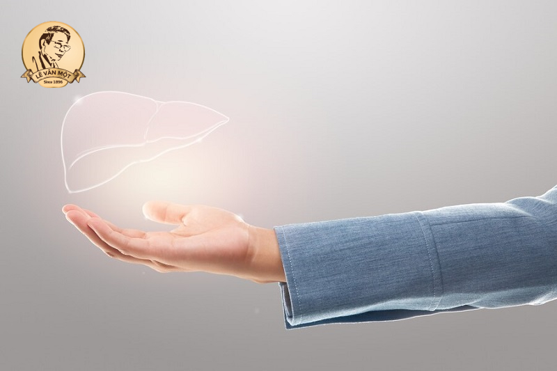 Tầm quan trọng của gan