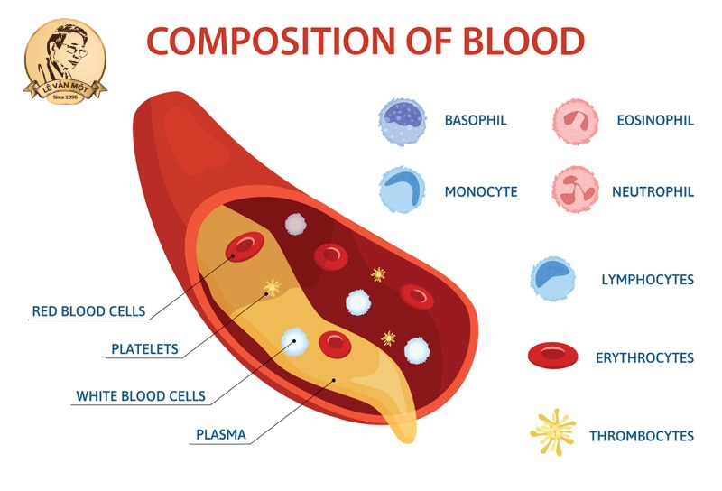 Tầm quan trọng của gan
