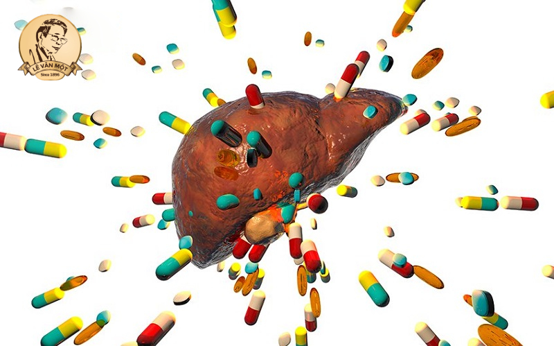 Tầm quan trọng của gan