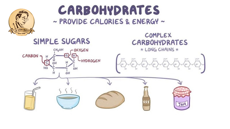 Tầm quan trọng của gan