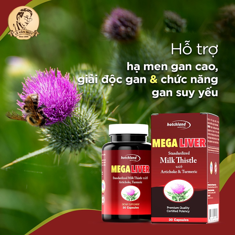 Thuốc giải độc gan tốt nhất trên thị trường Thuốc giải độc gan tốt nhất trên thị trường