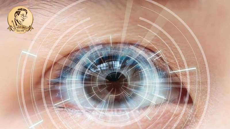 trà hoa cúc trắng hay vàng tốt hơn