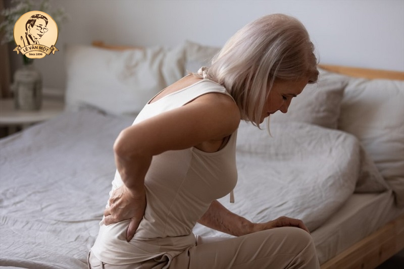 trà hoa cúc trắng hay vàng tốt hơn