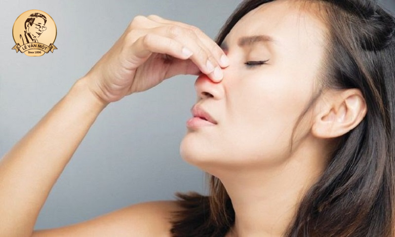 trà hoa cúc trắng hay vàng tốt hơn